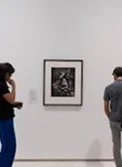 Imatge Instagram 5