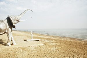 11 fotògrafs de les Illes Balears participen al festival ...
