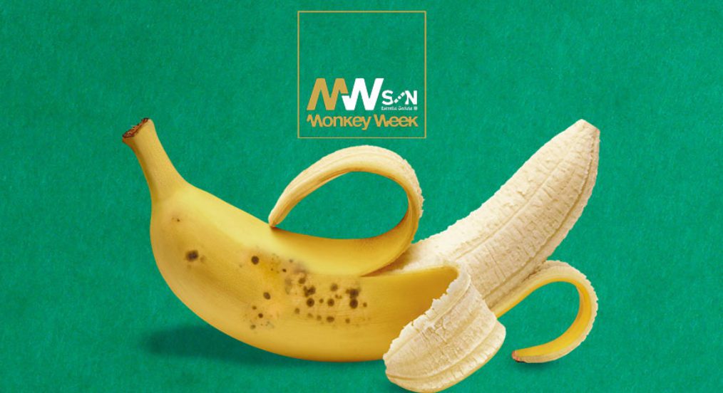 Els grups mallorquins Escorpio, The Wheels, Zulu Zulu i Go Cactus han estat seleccionats per participar al Monkey Week