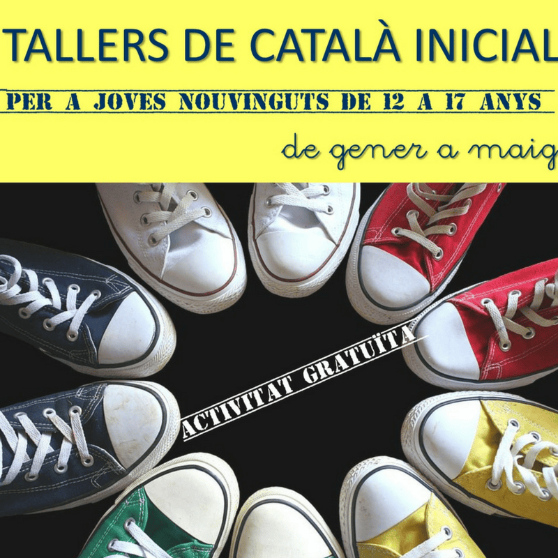 La Conselleria de Cultura, Participació i Esports organitza, per primera vegada durant el curs escolar, tallers de català per a joves nouvinguts on hi participaran més de 300 alumnes