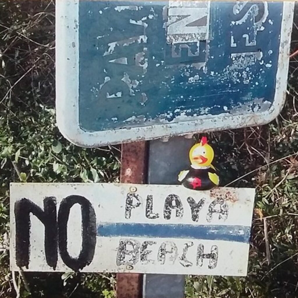 No playa no beach