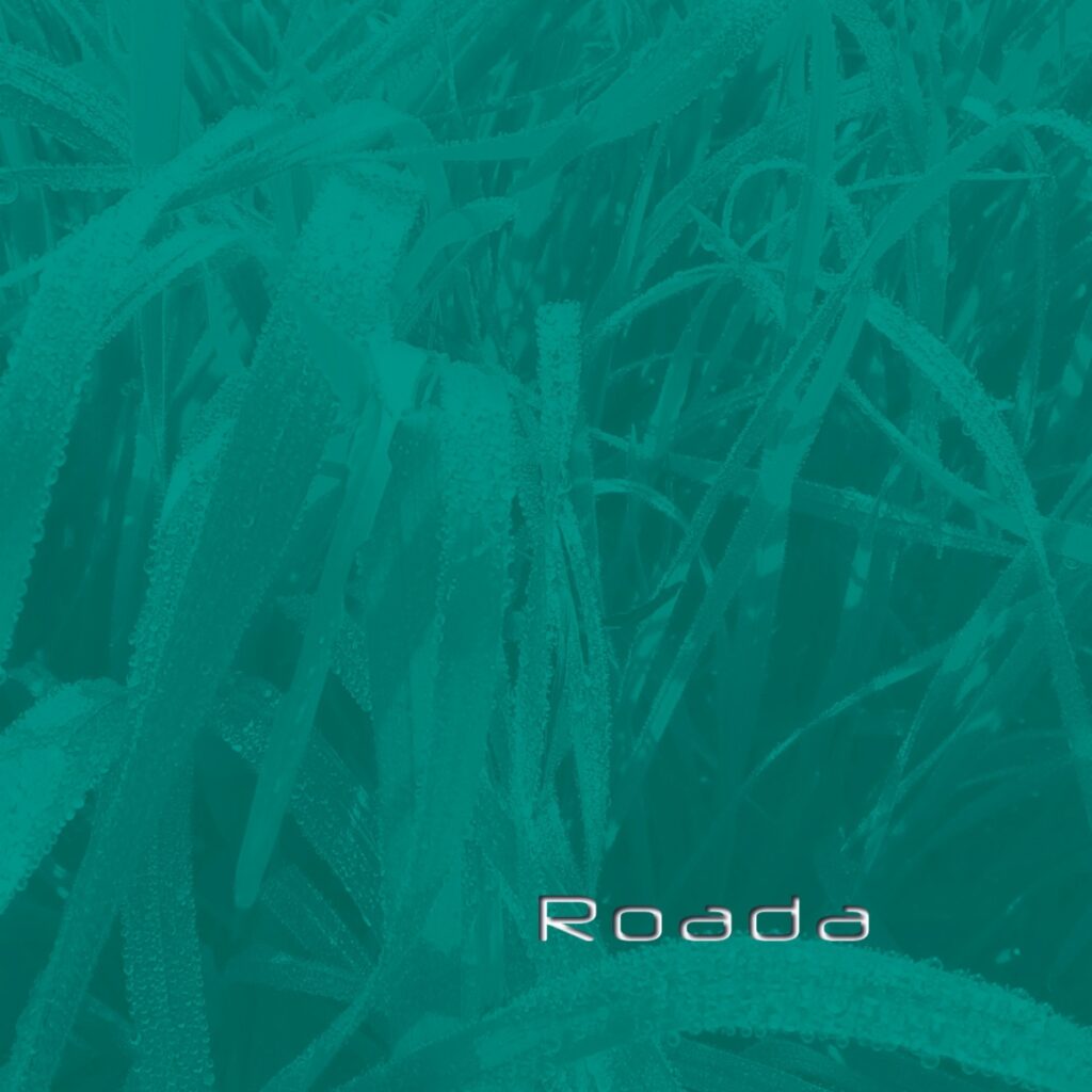 Roada