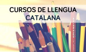 L’IEB adapta a l’aprenentatge virtual els cursos d’estiu de ...