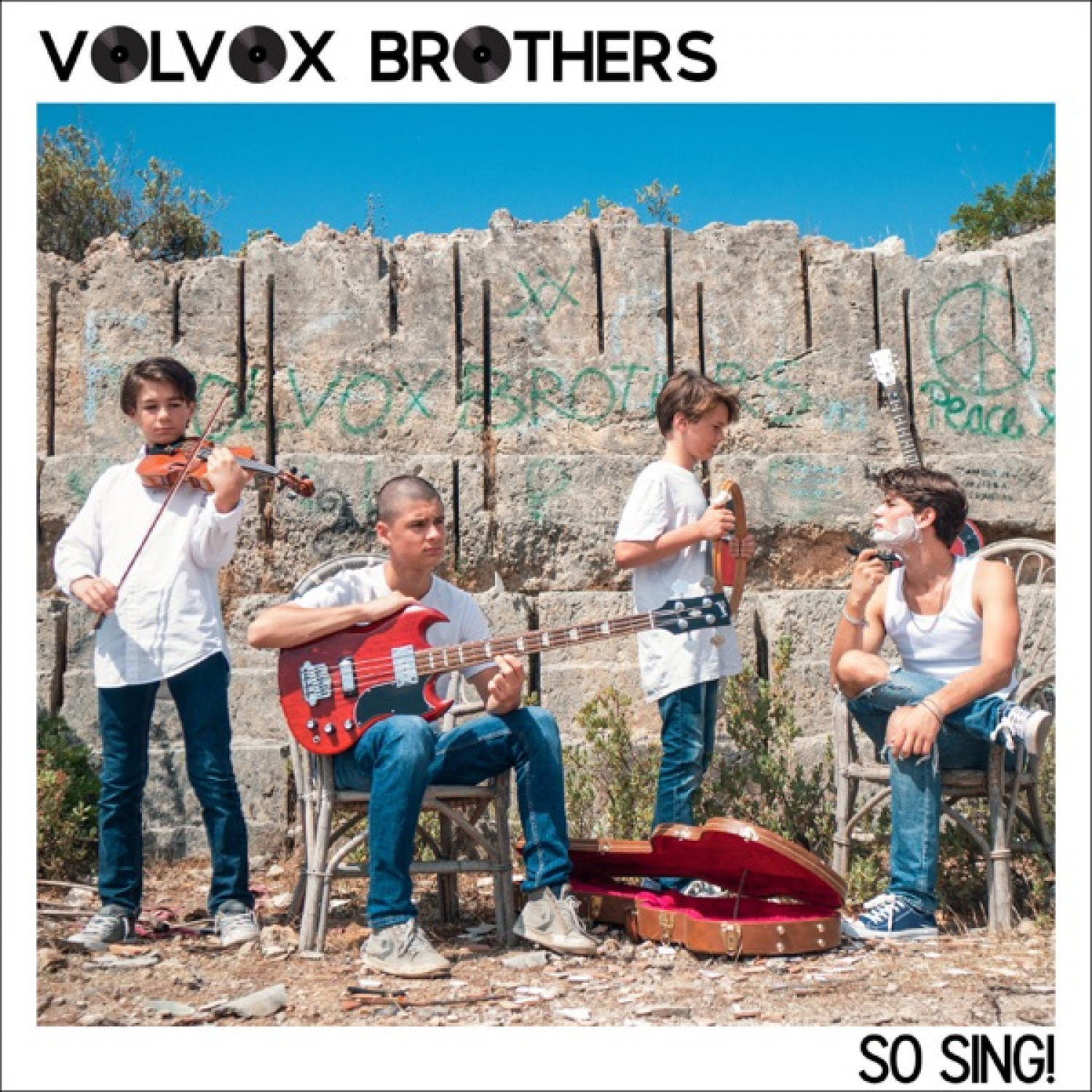 Volvox Brothers
