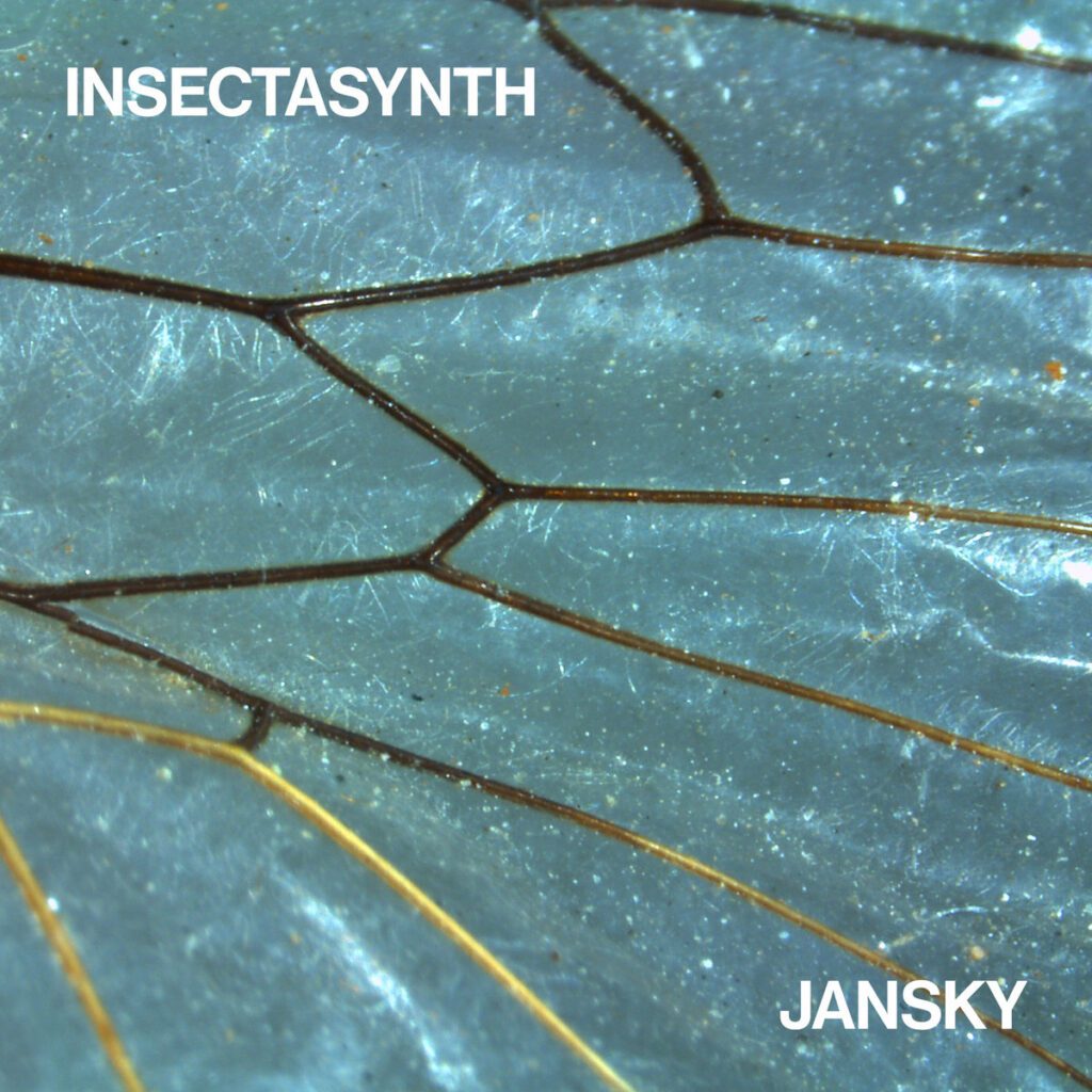 Insecta Dance Music: Insectasynth