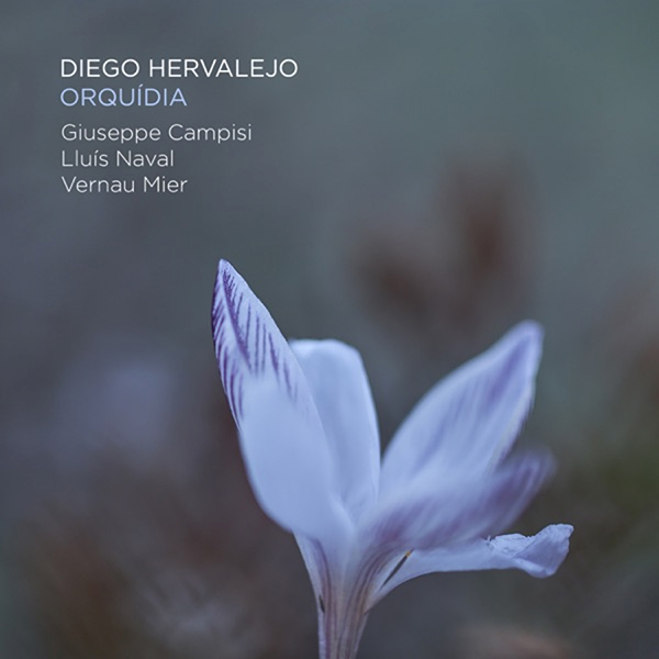 Diego Hervalejo
