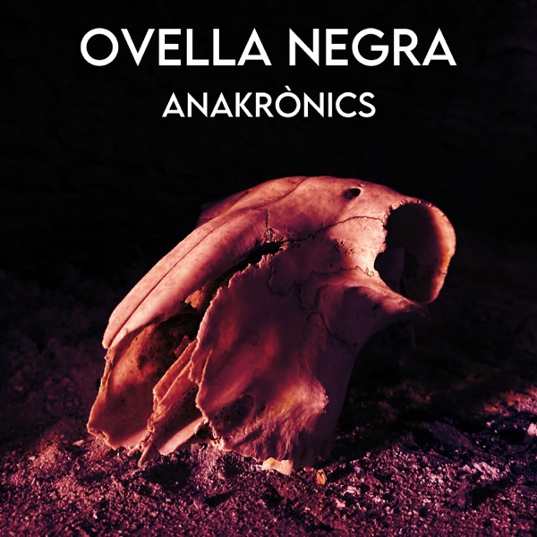 Ovella negra