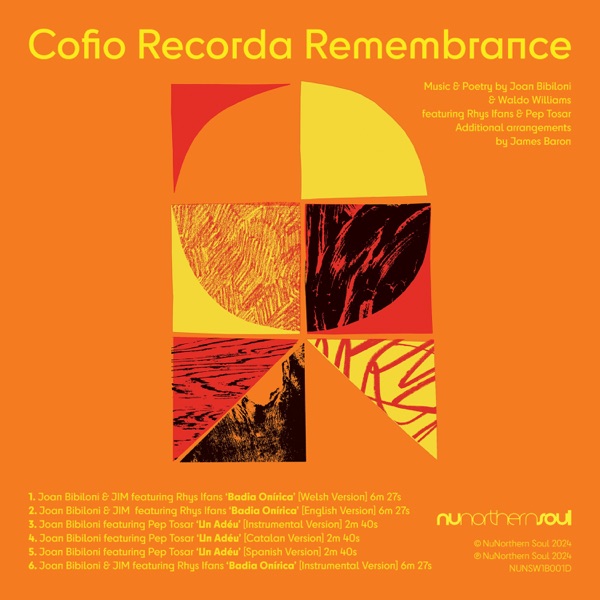 Cofio Recorda Remembrance