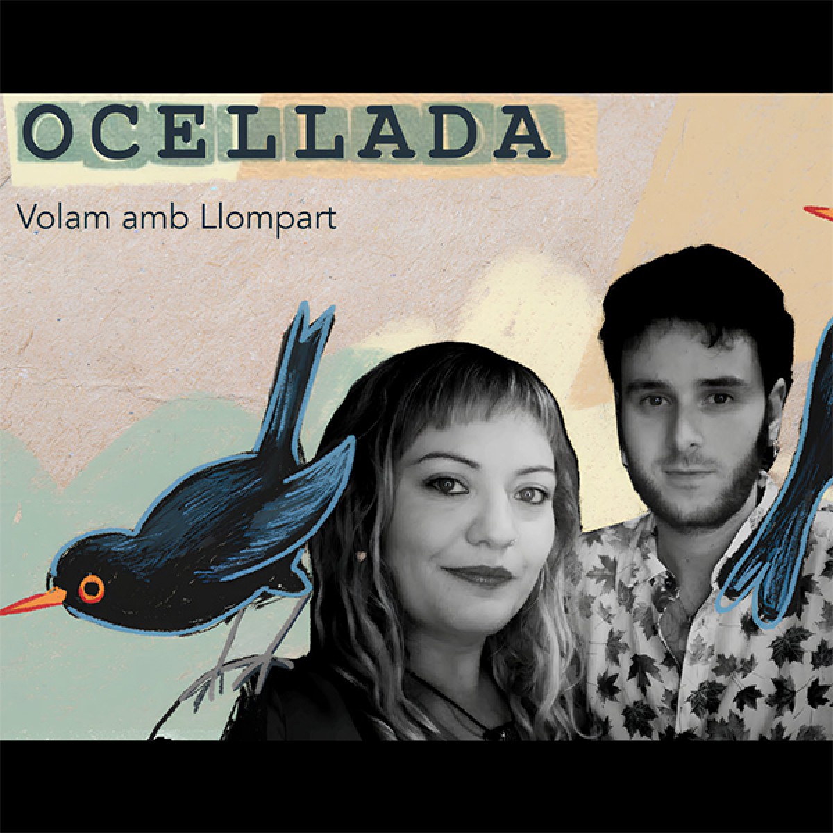 Ocellada