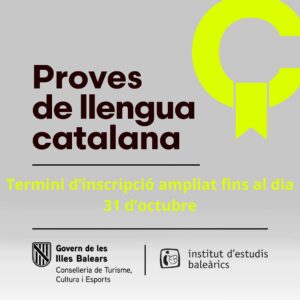 La caiguda de la plataforma estatal de signatura obliga ...